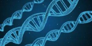 Detektyw - zdobywanie próbek DNA